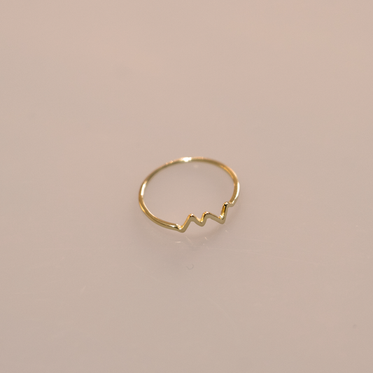 Heartbeat Ring, 18K Gold Vermeil LGBTQ Pride Jewelry, Unisex Love Pulse Design