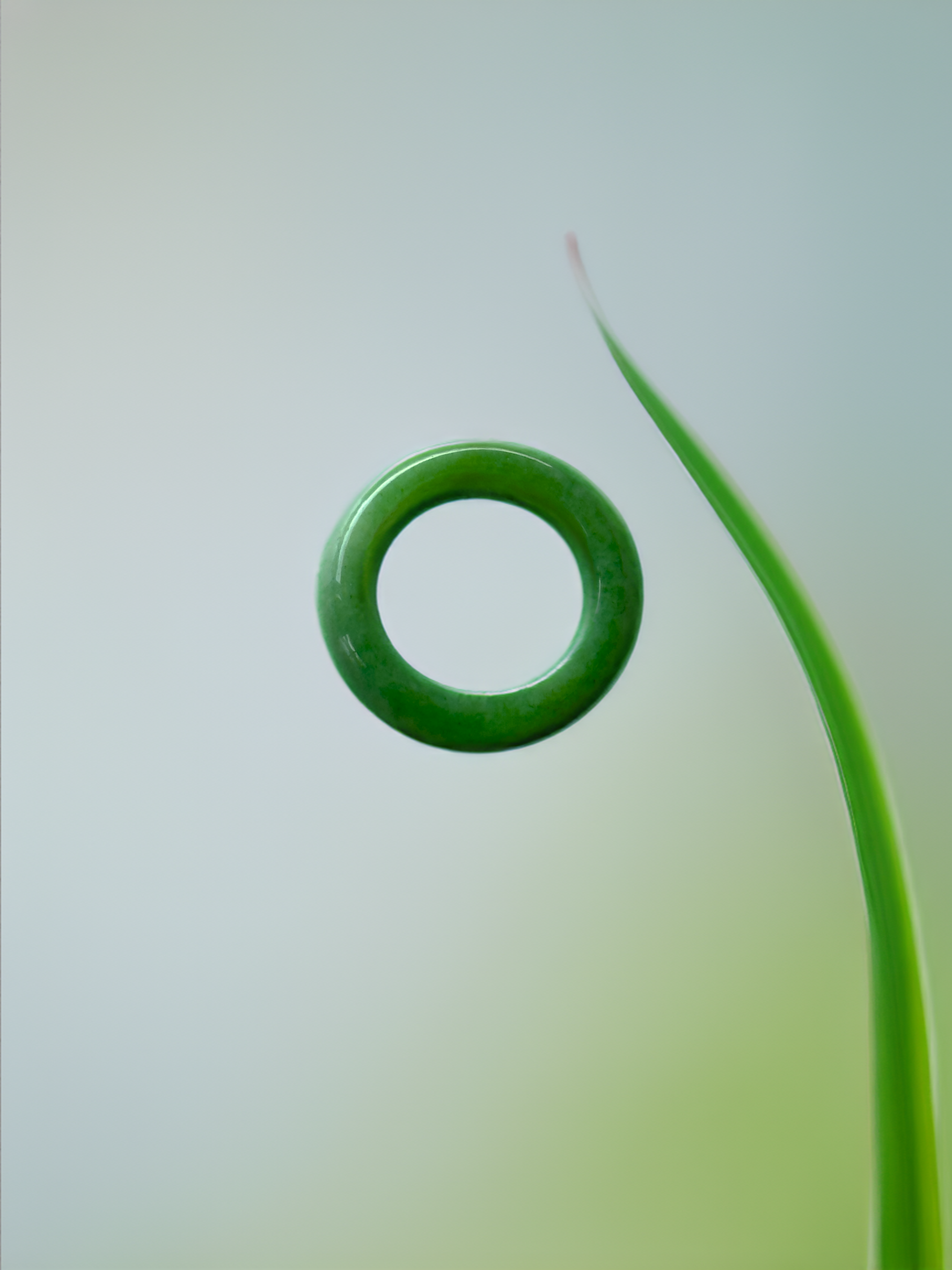 The image depicts a smooth, rounded, bright green jade ring. It has a simple, sleek circular band shape, appearing to be carved from a single piece of jade with no visible setting or stones.